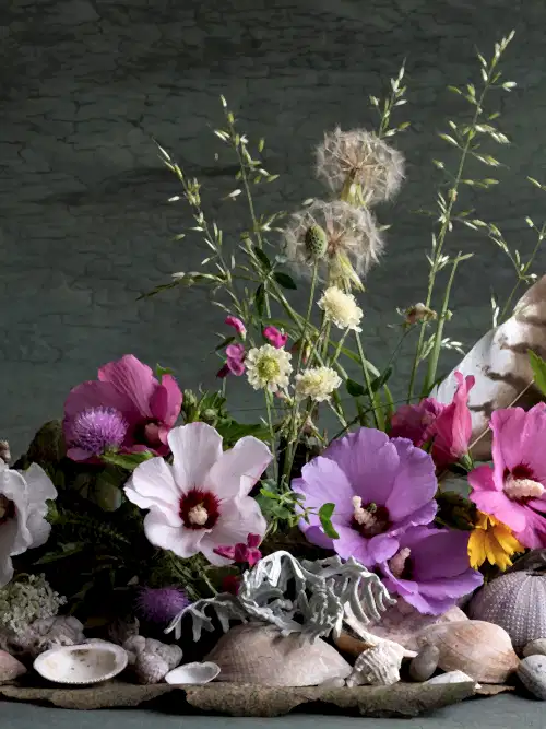 Ikebana Ohara - 16 courses