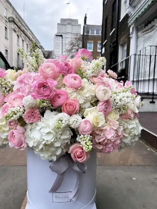 Belgravia Garden