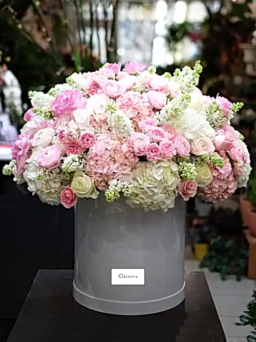Belgravia Garden