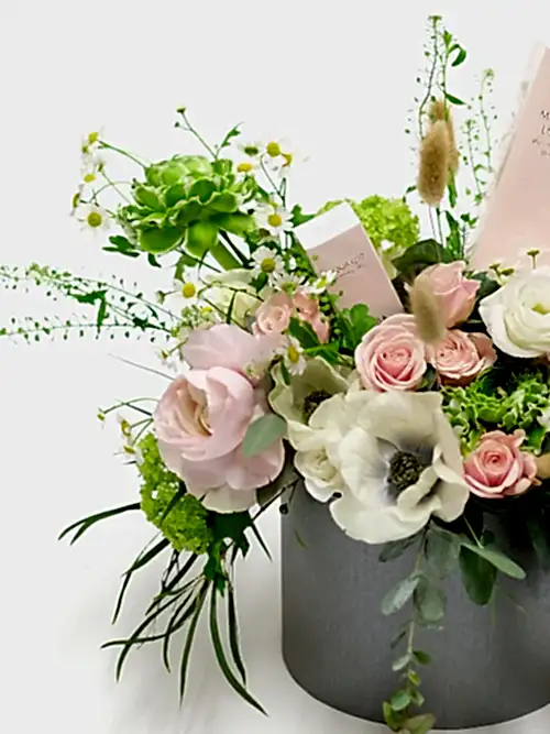 Pink Blush