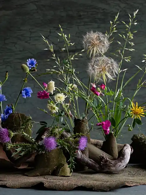 Ikebana Ohara - 2 courses