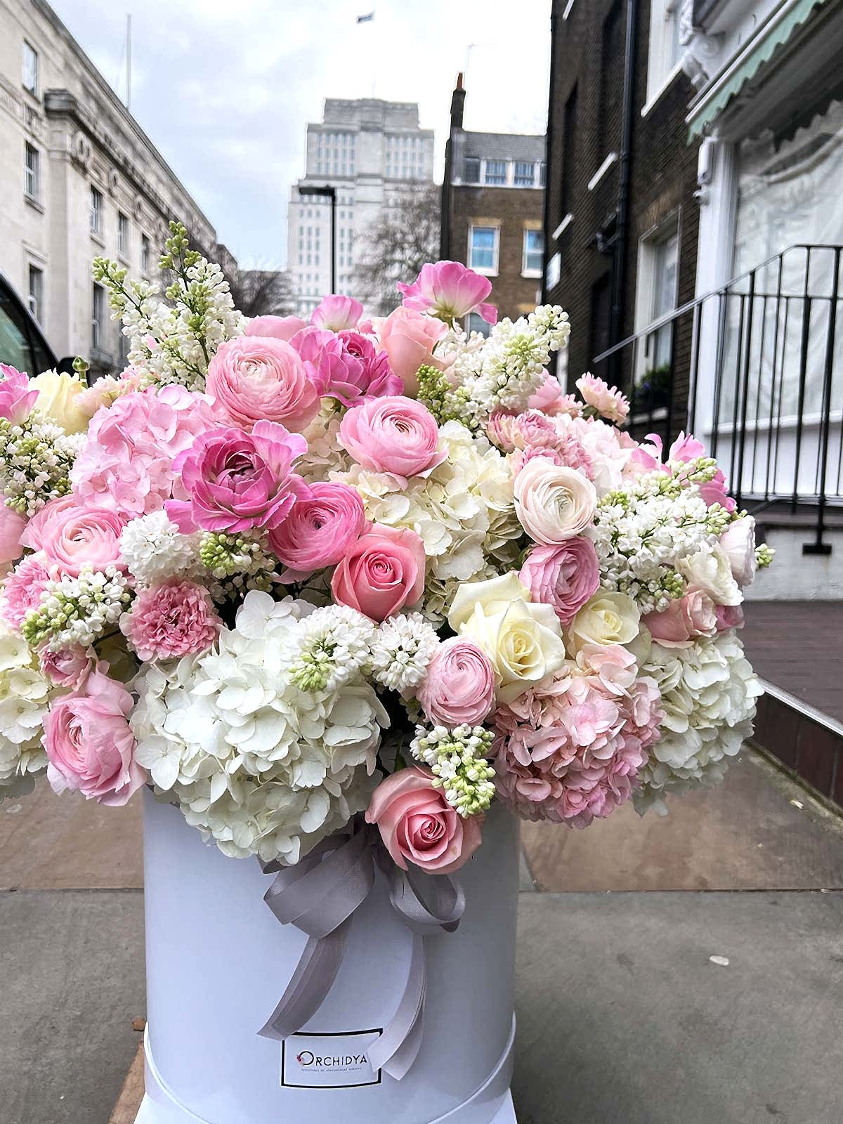 Belgravia Garden