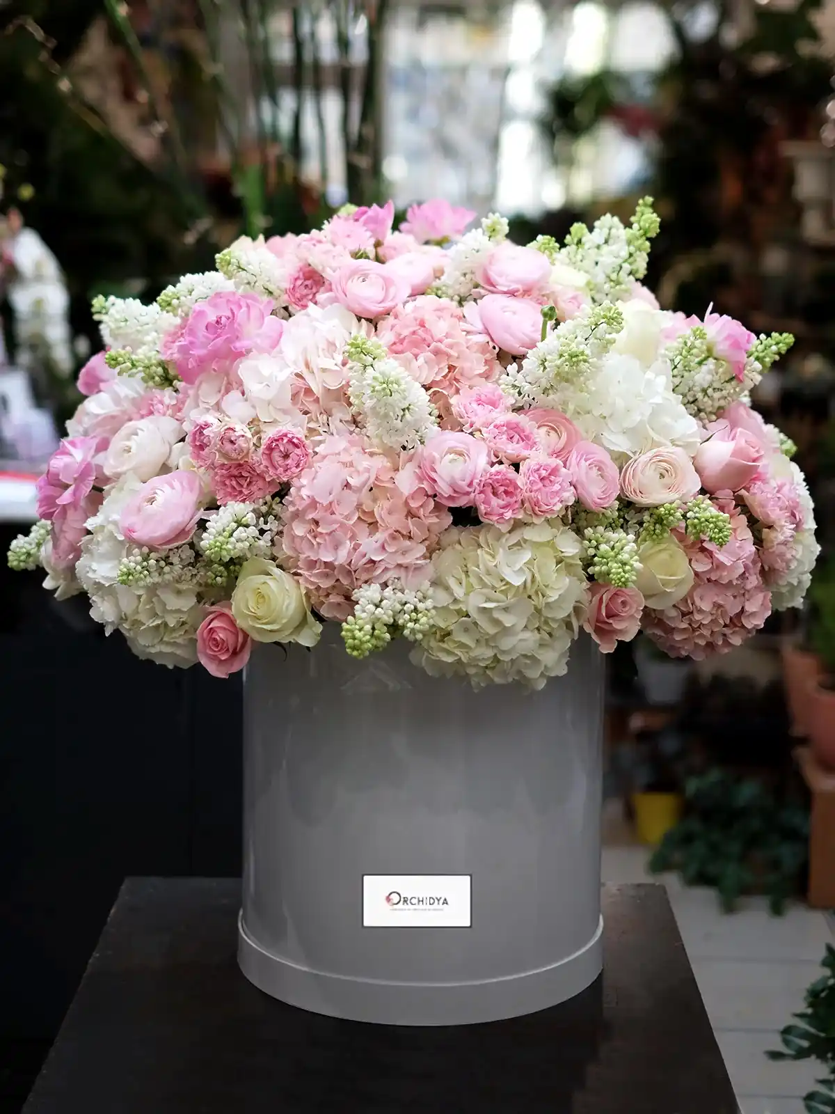 Belgravia Garden