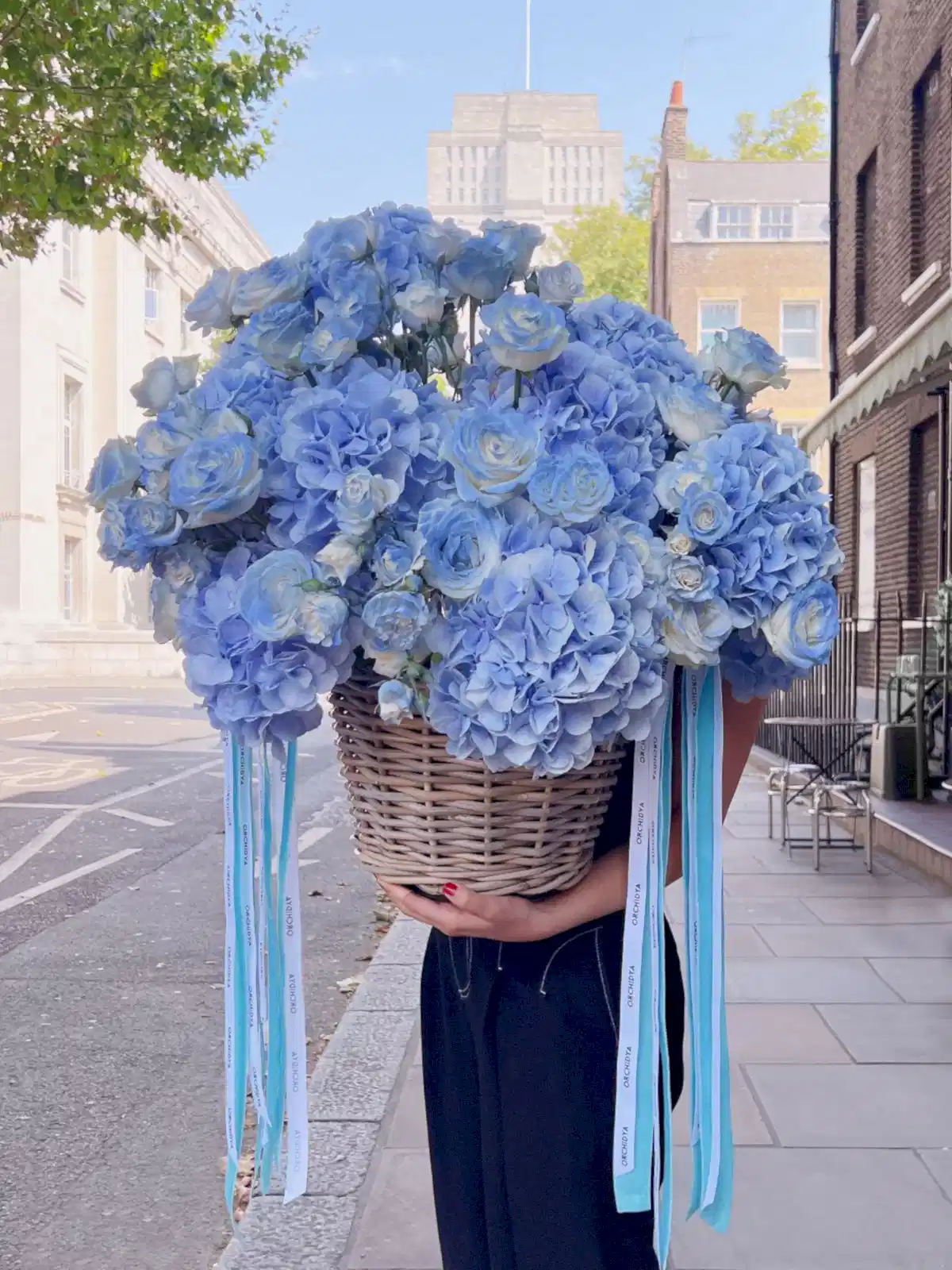 Baby Blue