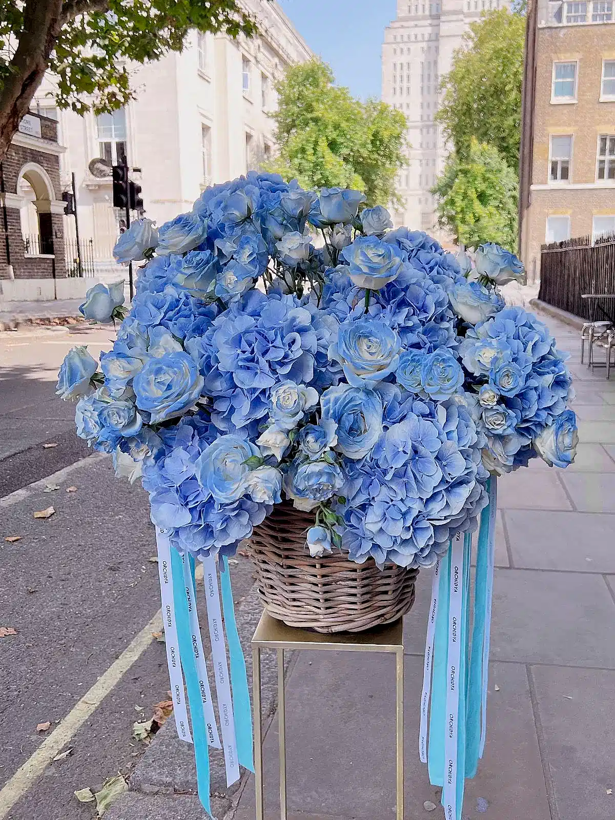Baby Blue
