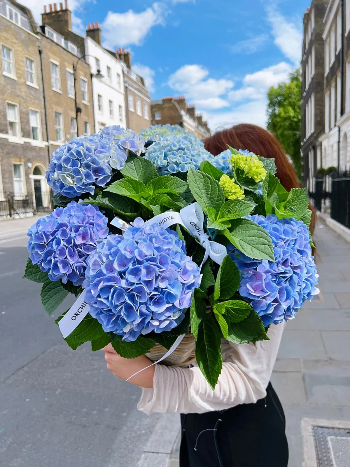 Blue Hydrangea Basket
