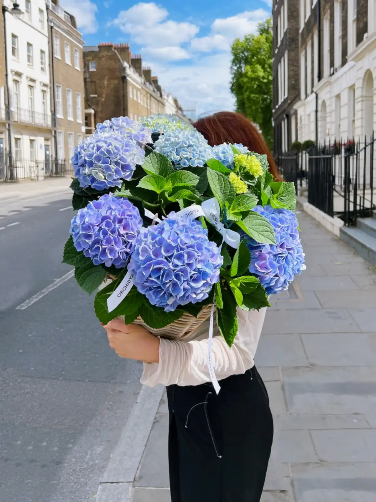 Blue Hydrangea Basket