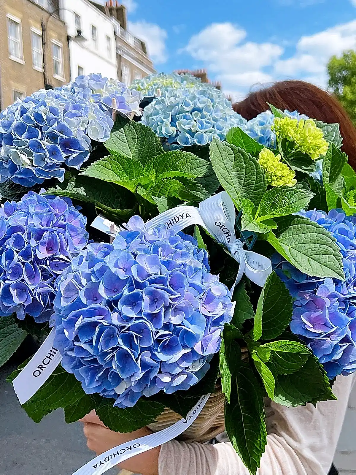Blue Hydrangea Basket