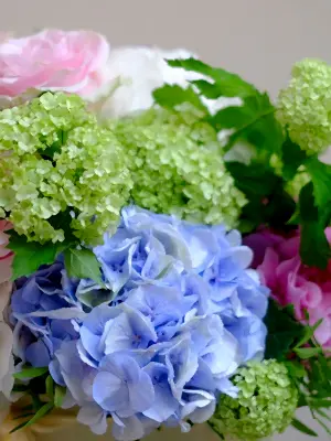 Dream Garden