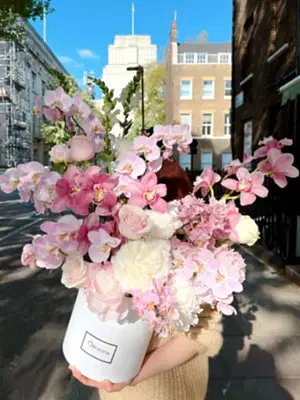Orchid Allure