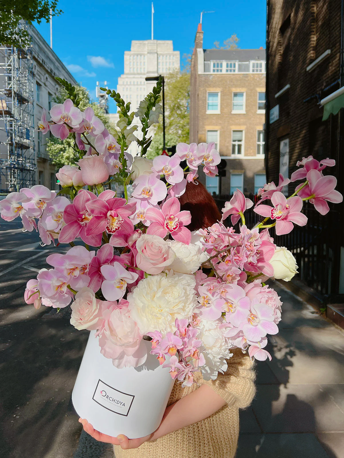 Orchid Allure