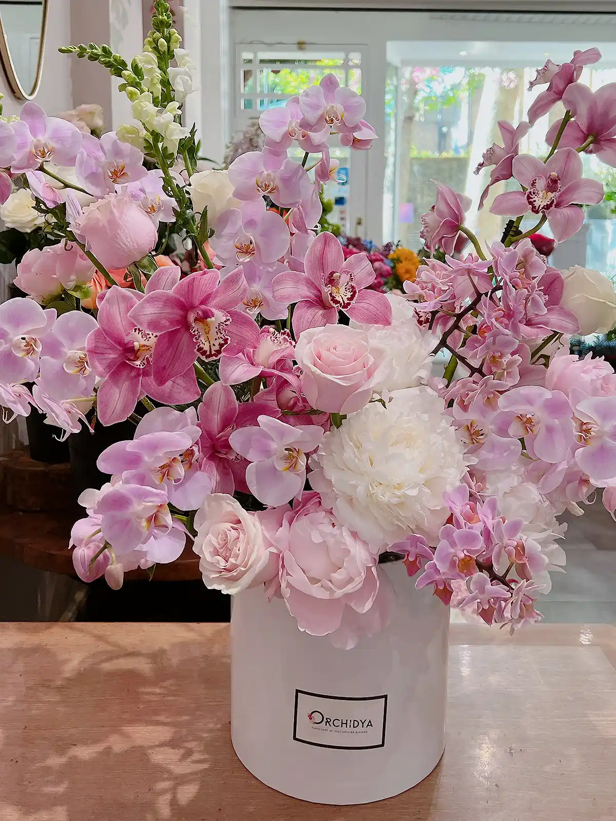 Orchid Allure