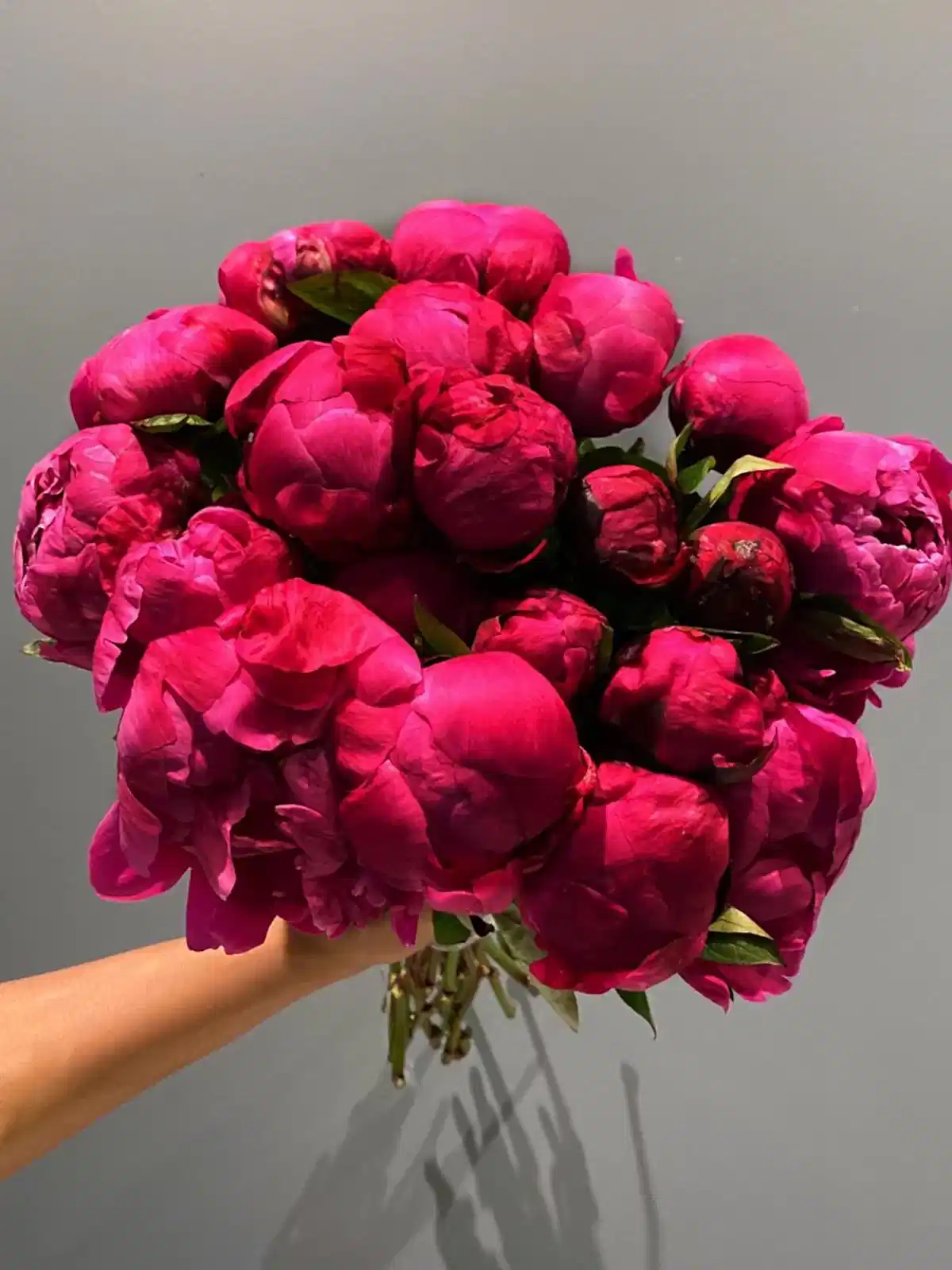 Dark Purple Peony Bouquet