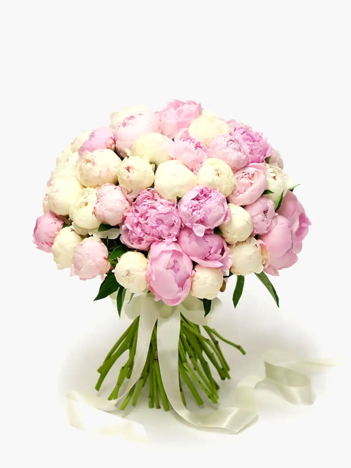 Peony Madness