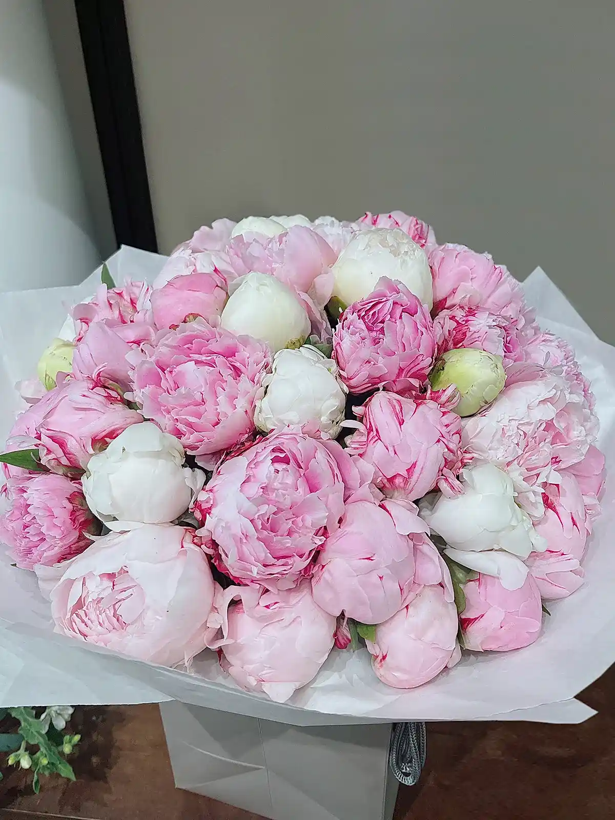 Peony Madness