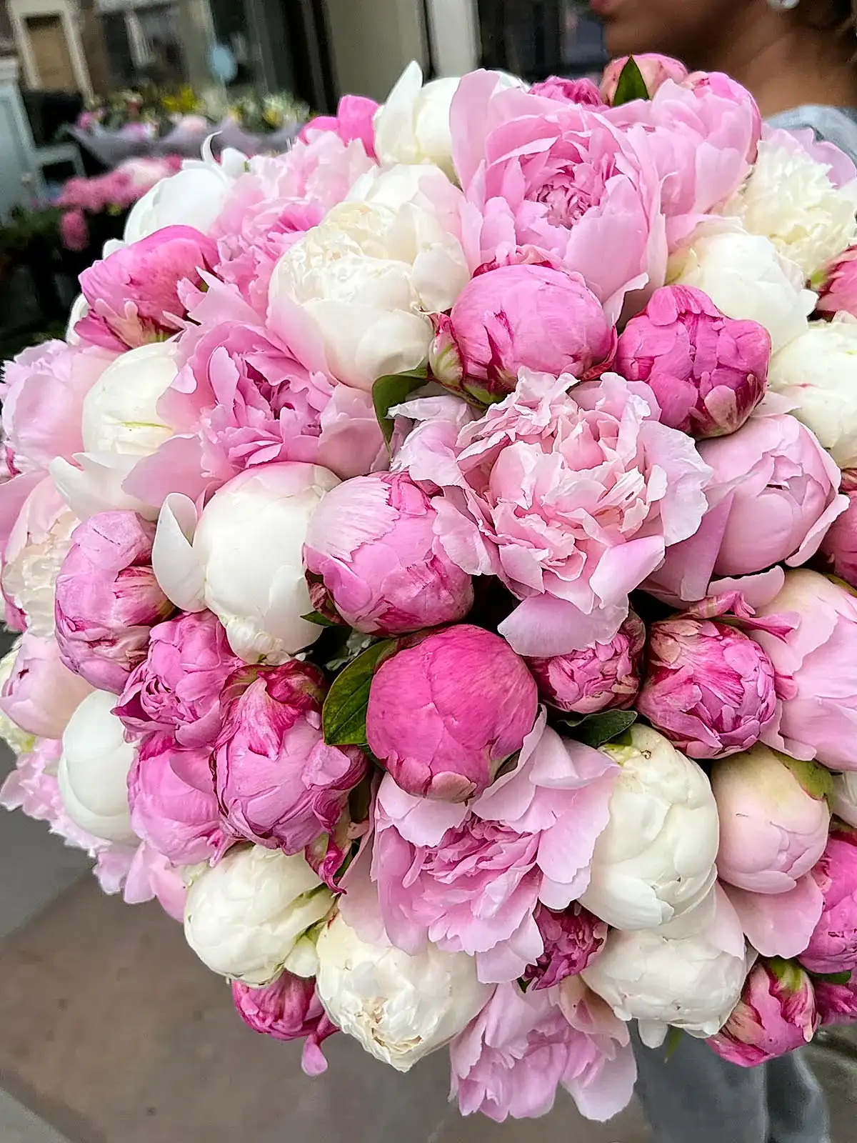 Peony Darling