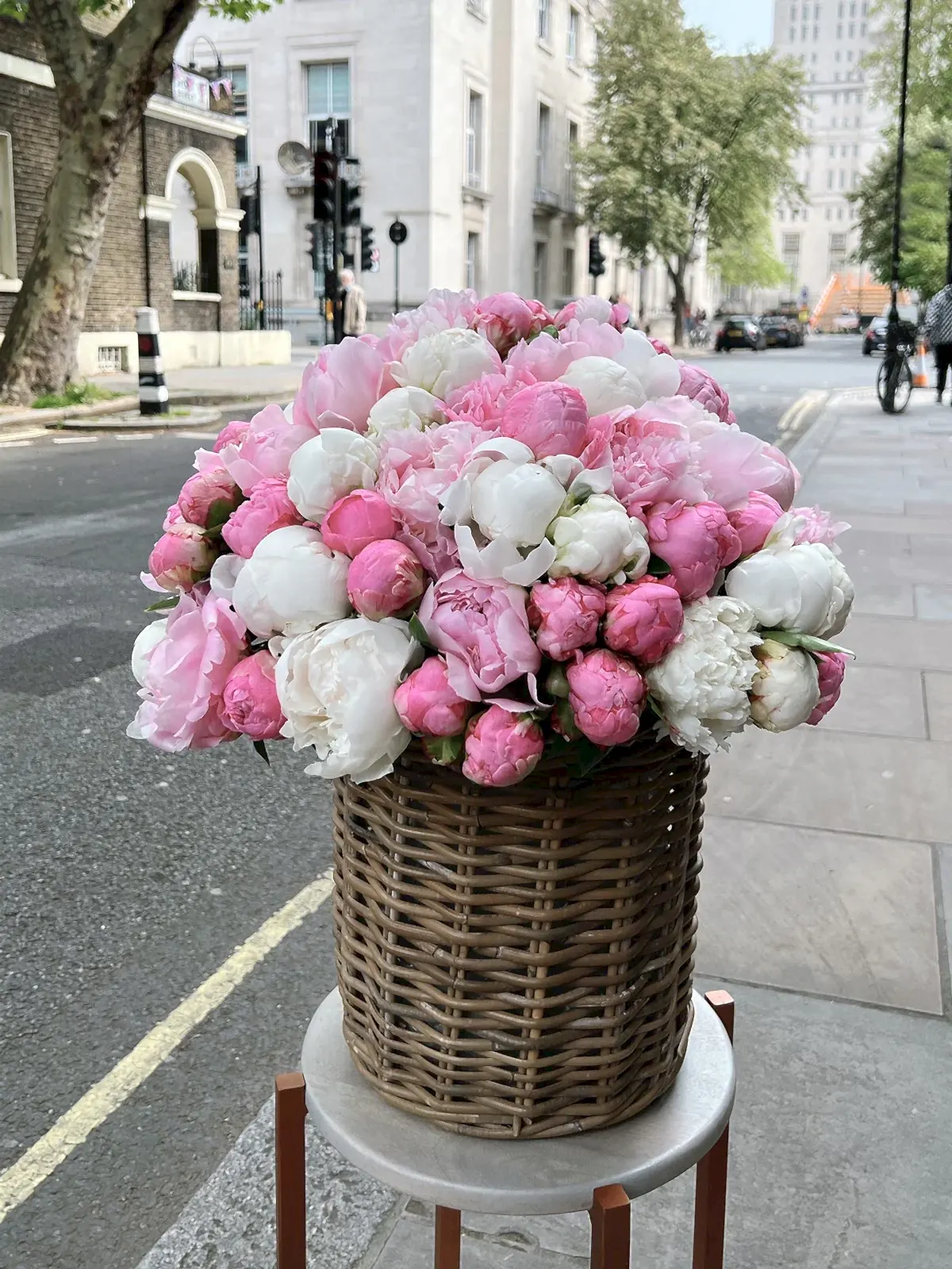 Peony Darling