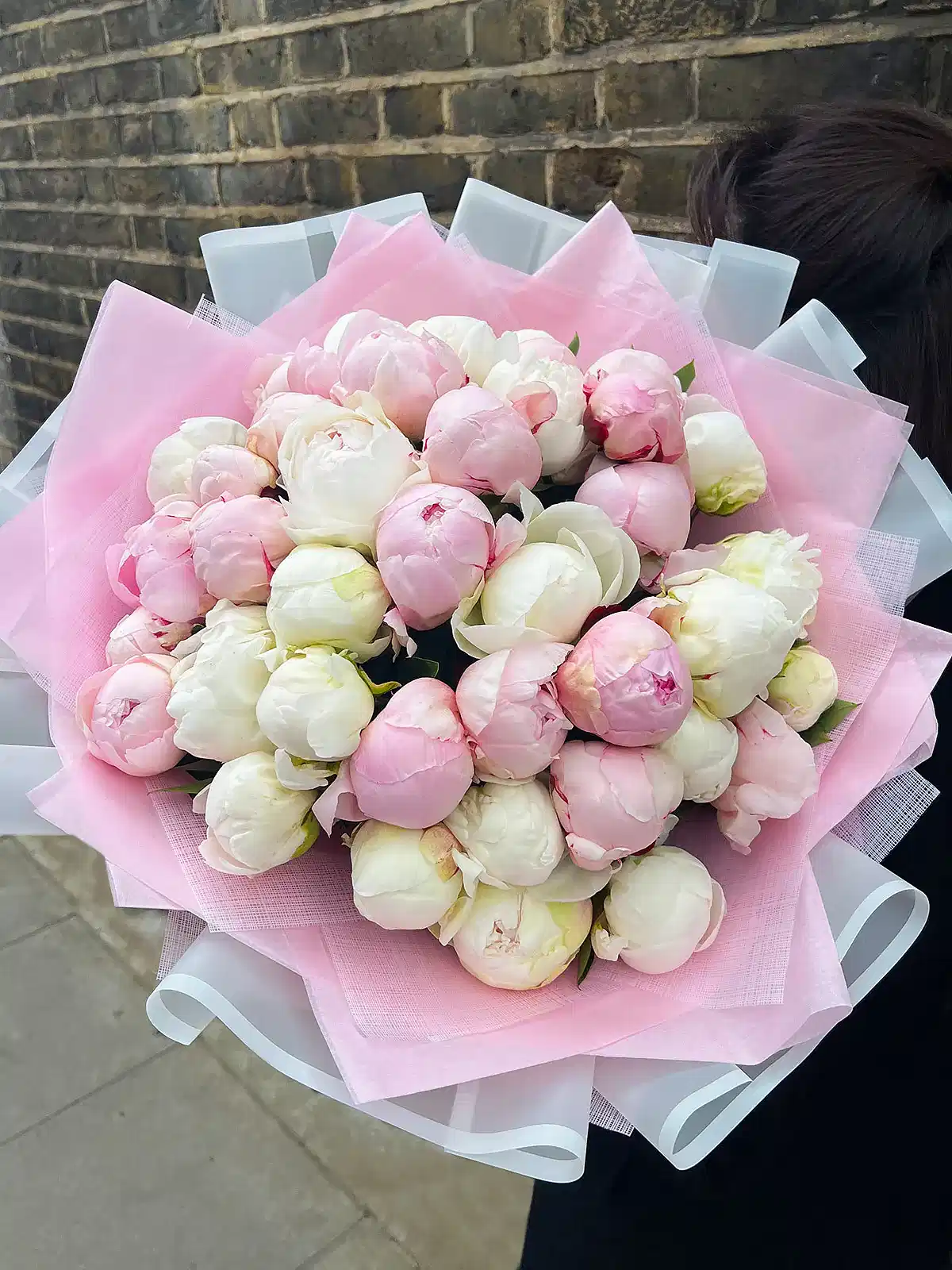 Peony Madness