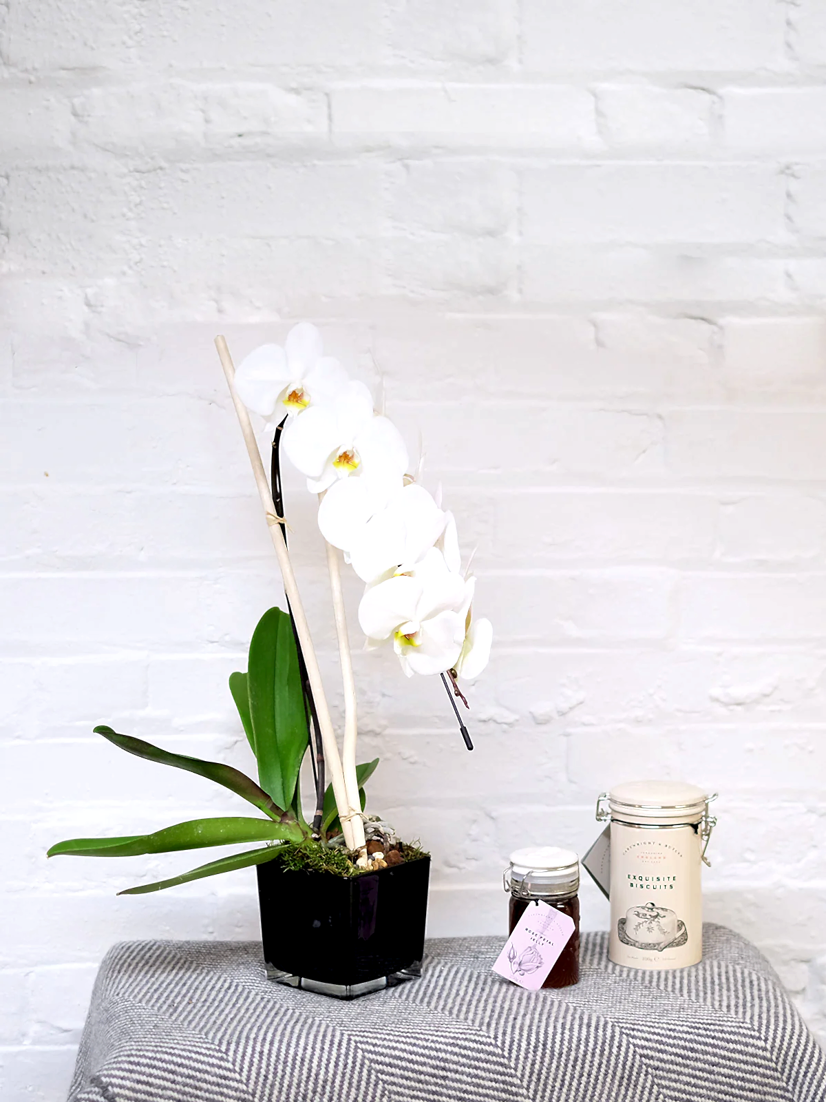 Cascading White Orchid