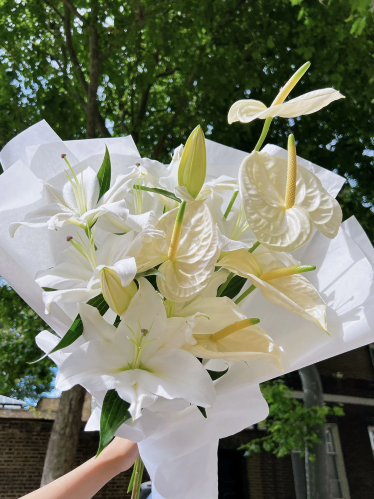 White Celebration