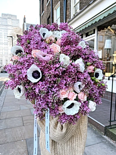 Lilac Kiss