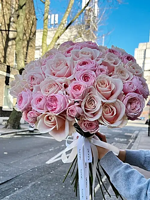 Legally Pink
