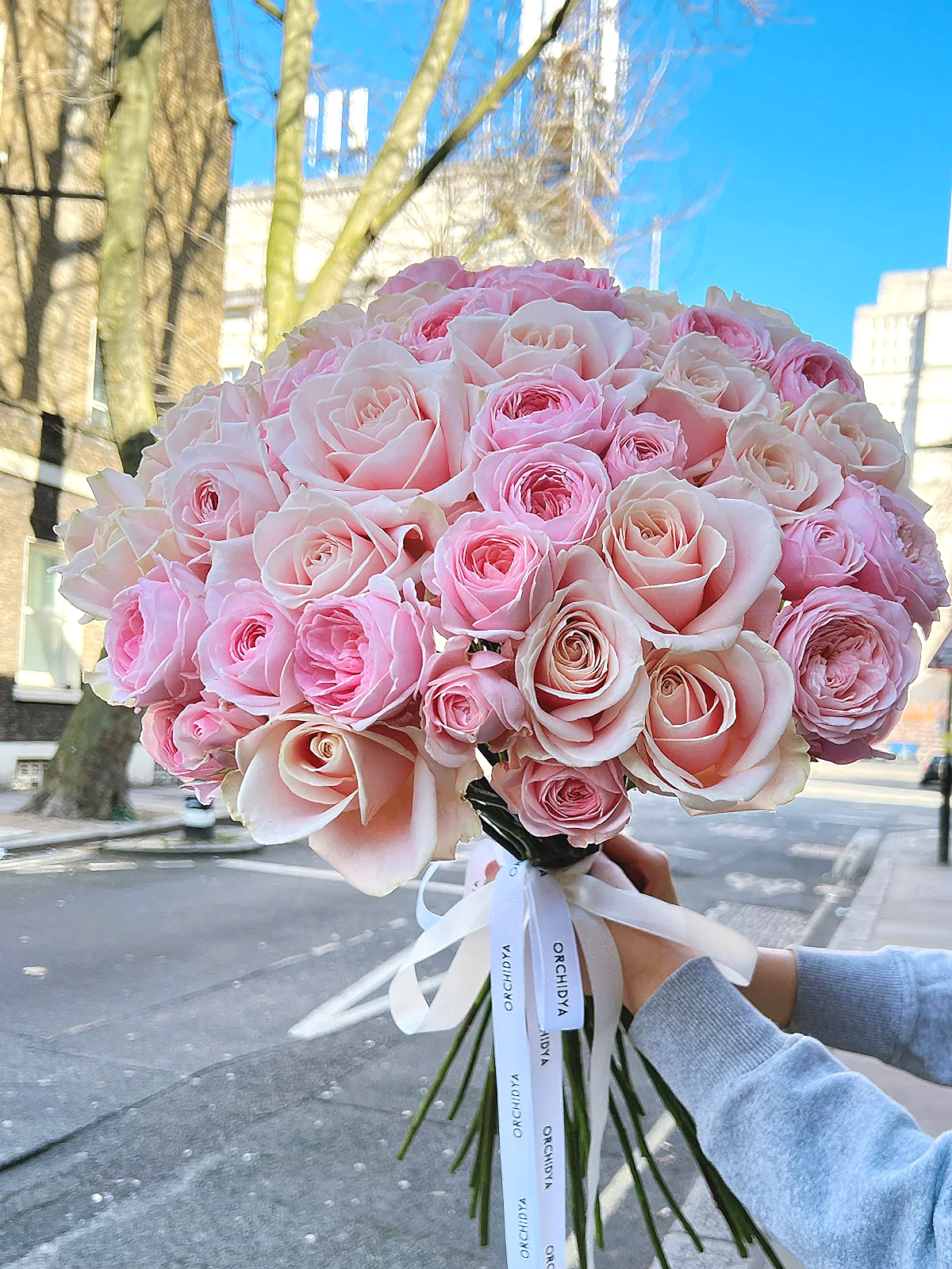 Legally Pink