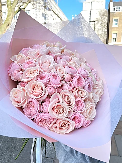 Legally Pink